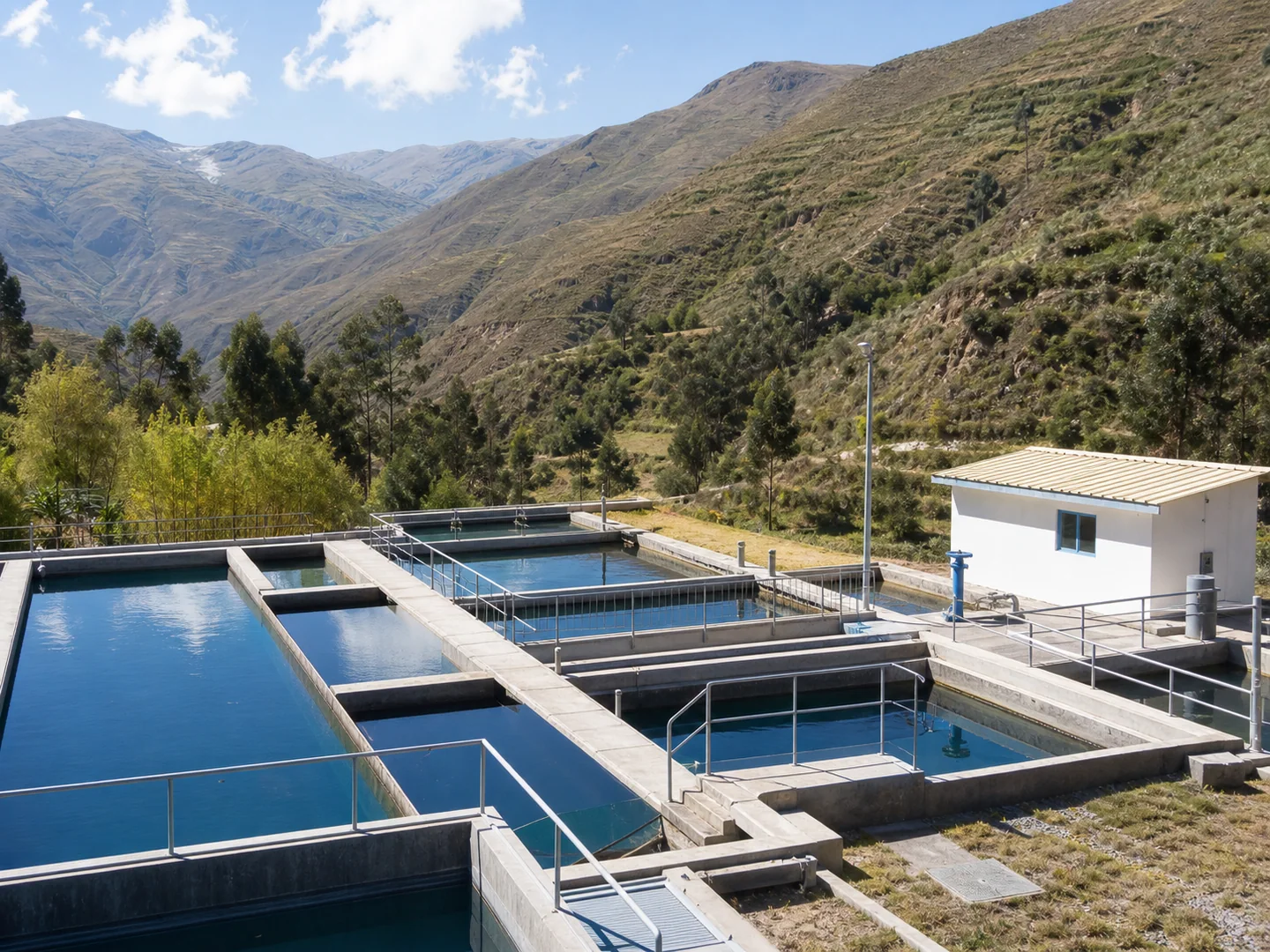 Agua potable y saneamiento