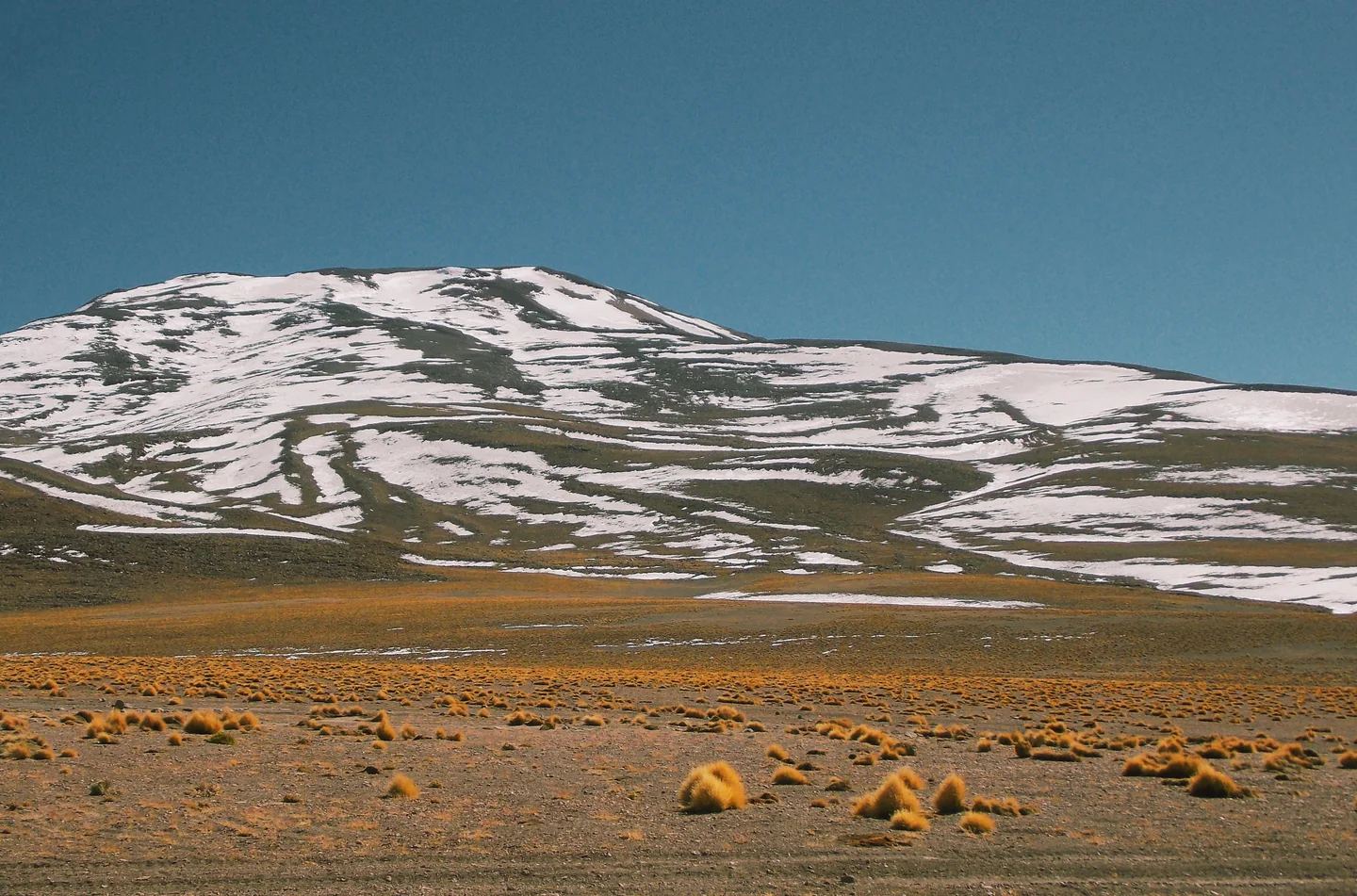 Altiplano boliviano